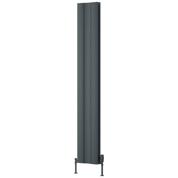 Reina Gio Vertical Designer Radiator - Aluminium - Double Panel - 1800mm High