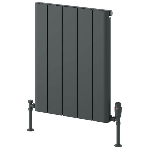 Reina Resia Horizontal Flat Panel Radiator - Aluminium - 600mm High