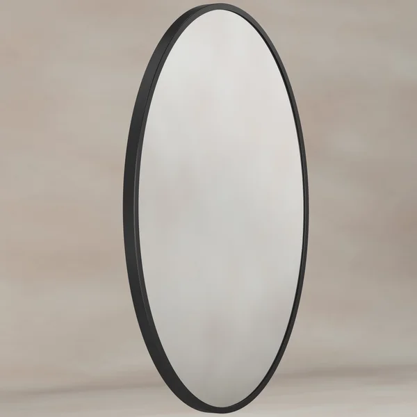 Origins Living Delphine Oval Mirror - Stainless Steel Frame - 550 x 800mm