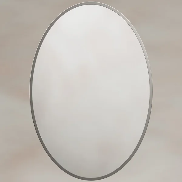 Alternate image of Origins Living Delphine Oval Mirror - Stainless Steel Frame - 550 x 800mm