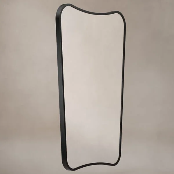 Origins Living Delphine Curve Mirror - Stainless Steel Frame