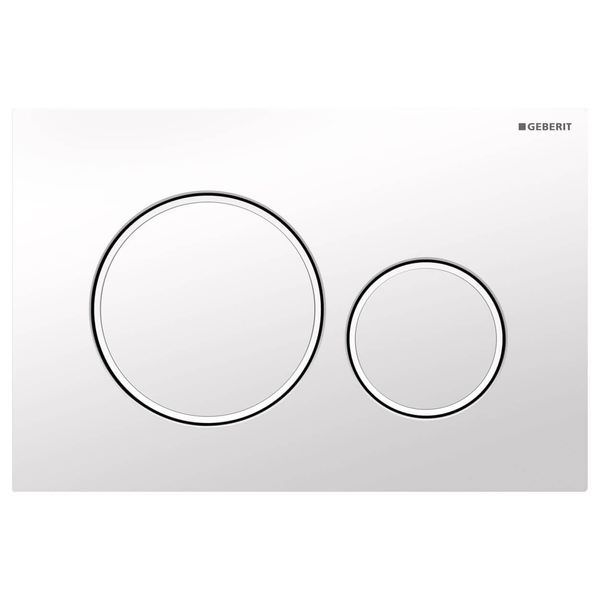 Geberit Sigma20 246 x 164mm Dual Flush Plate