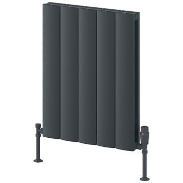 Reina Loco Anthracite Horizontal Curved Designer Radiator - Aluminium - Double Panel