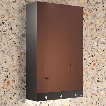Delabie Wall Hung Matte Black Mirror Cabinet With Paper Towel Dispenser 1000mm High - Single Door
