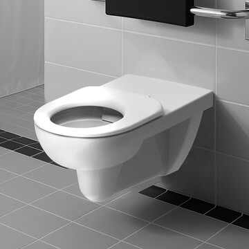 Geberit Selnova Comfort Large Projection Barrier-Free Wall-Hung Washdown WC Pan