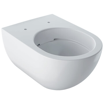 Geberit Aniara Wall Hung Washdown Rimless Toilet - Shrouded