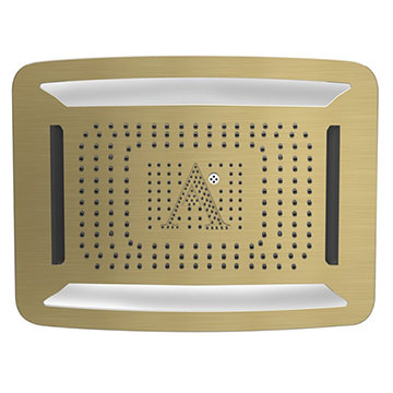 Jaquar Artize Rainjoy Antique Bronze Overhead Shower with RGB Light 600 x 472mm