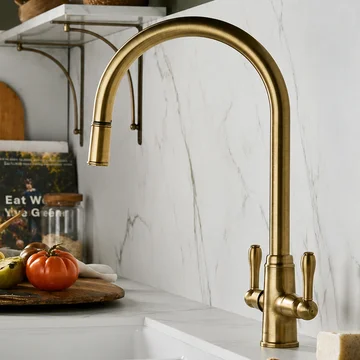 Clearwater Broadway Pull-Out Mono Kitchen Sink Mixer Tap with Swivel Spout - Lever Handles