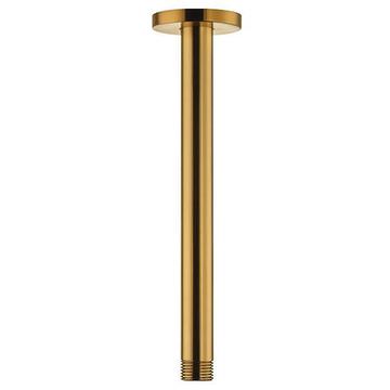 Niagara Equate Contemporary Round Brushed Brass Shower Arm - Ceiling or Wall-Mounted