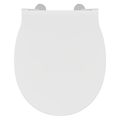 QS-V116078 small Image 9