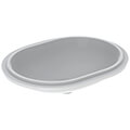 QS-V116508 small Image 1