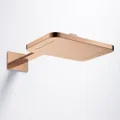 QS-V113716 small Image 6