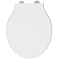QS-V113389 small Image 3