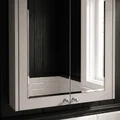 QS-V116773 small Image 15