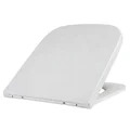 QS-V72887 small Image 2